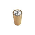 43321_dexter-dourado-ponto-6020